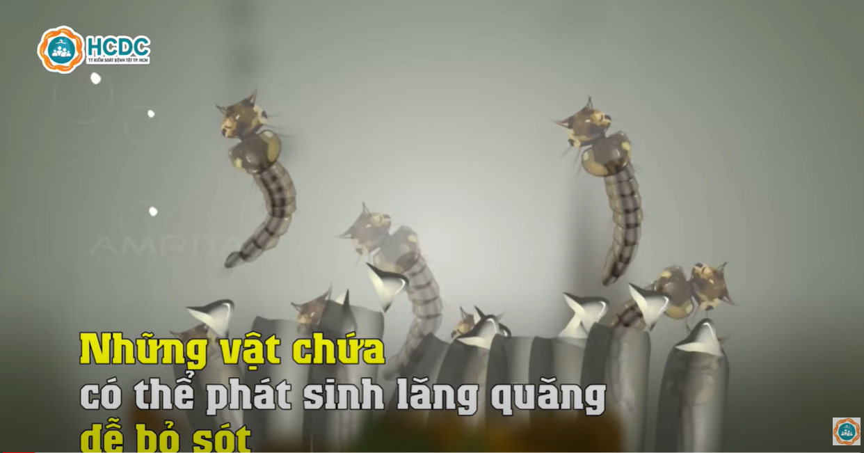 Những vật chứa có thể phát sinh lăng quăng dễ bỏ sót